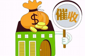 简阳如何避免债务纠纷？专业追讨公司教您应对之策